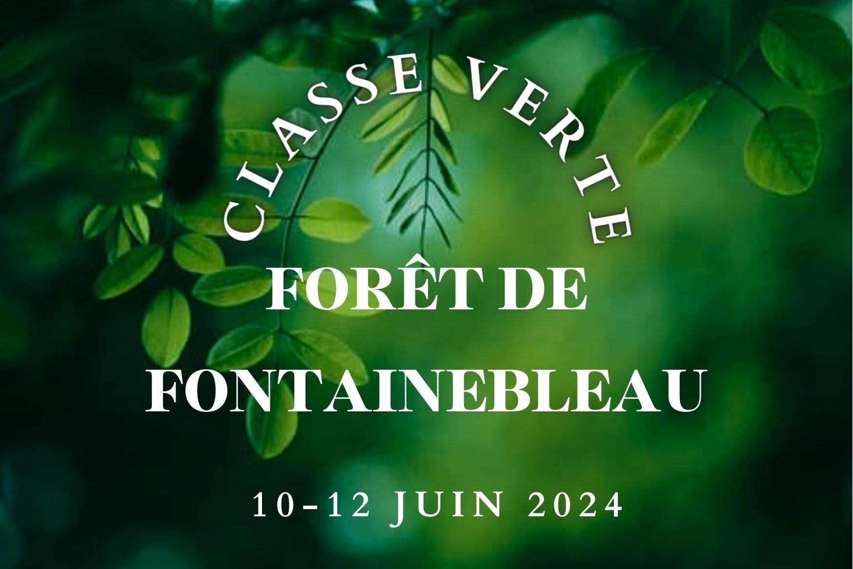 Classe verte - Forêt de Fontainebleau